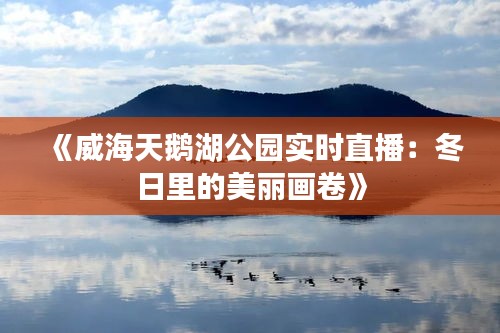 《威海天鵝湖公園實(shí)時(shí)直播：冬日里的美麗畫卷》