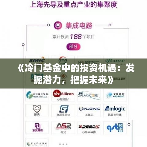 《冷門基金中的投資機遇：發(fā)掘潛力，把握未來》