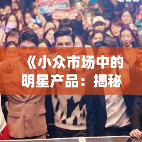 《小眾市場中的明星產(chǎn)品：揭秘小型熱門產(chǎn)品的成功之道》