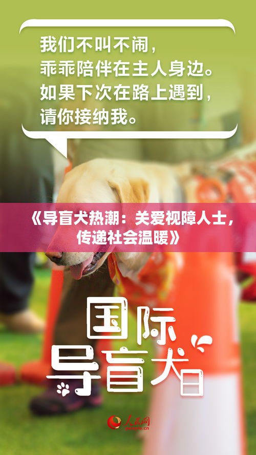《導(dǎo)盲犬熱潮：關(guān)愛視障人士，傳遞社會(huì)溫暖》