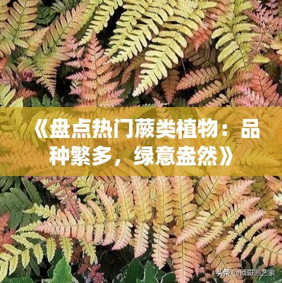 《盤點熱門蕨類植物：品種繁多，綠意盎然》