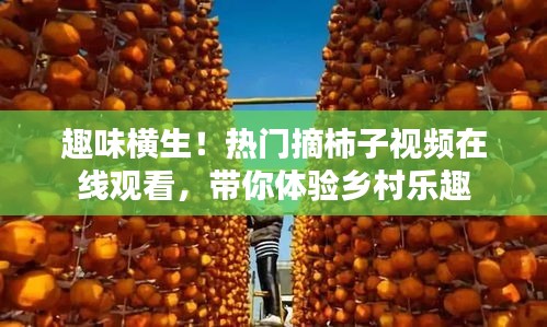 趣味橫生！熱門摘柿子視頻在線觀看，帶你體驗(yàn)鄉(xiāng)村樂(lè)趣