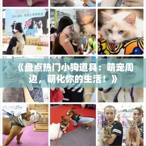 《盤點(diǎn)熱門小狗道具：萌寵周邊，萌化你的生活！》