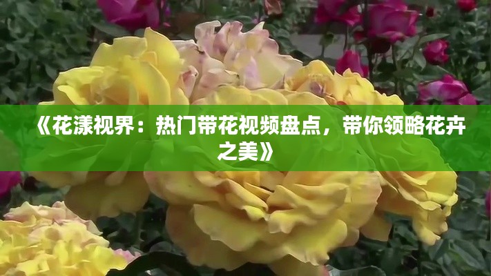 《花漾視界：熱門帶花視頻盤點，帶你領(lǐng)略花卉之美》