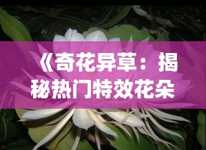 《奇花異草：揭秘熱門特效花朵的魅力》