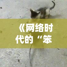 《網(wǎng)絡(luò)時代的“笨蛋熱門”：流量背后的思考與反思》