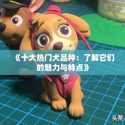 《十大熱門犬品種：了解它們的魅力與特點》