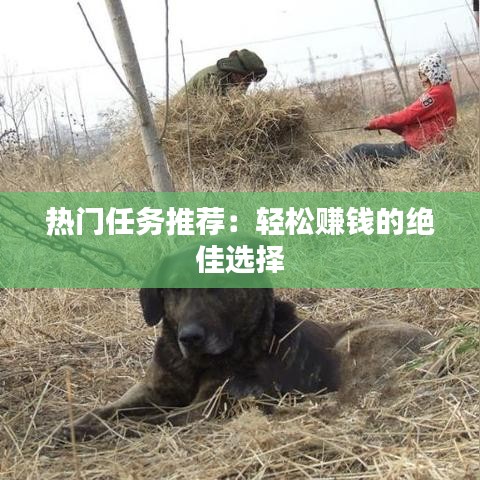 熱門任務(wù)推薦：輕松賺錢的絕佳選擇