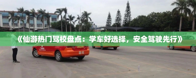 《仙游熱門駕校盤點：學(xué)車好選擇，安全駕駛先行》