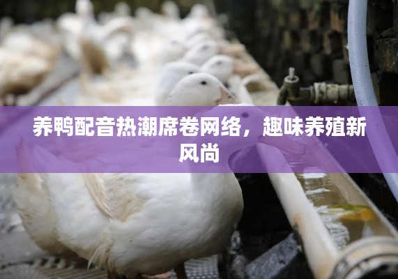 養(yǎng)鴨配音熱潮席卷網(wǎng)絡(luò)，趣味養(yǎng)殖新風(fēng)尚