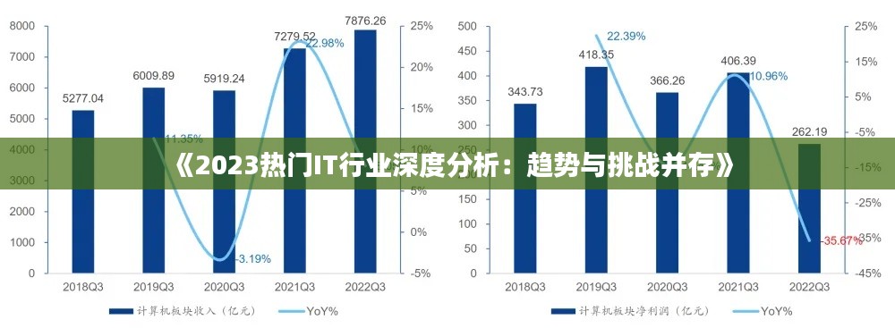 《2023熱門IT行業(yè)深度分析：趨勢(shì)與挑戰(zhàn)并存》
