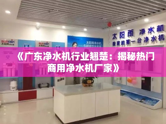 《廣東凈水機(jī)行業(yè)翹楚：揭秘?zé)衢T商用凈水機(jī)廠家》