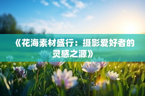 《花海素材盛行：攝影愛好者的靈感之源》