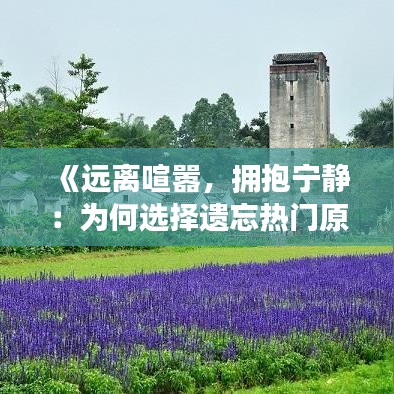 《遠(yuǎn)離喧囂，擁抱寧靜：為何選擇遺忘熱門原聲》