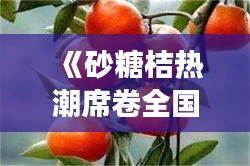 《砂糖桔熱潮席卷全國：探尋其魅力與市場前景》