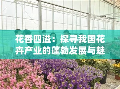 花香四溢：探尋我國花卉產業(yè)的蓬勃發(fā)展與魅力