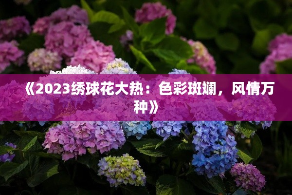 《2023繡球花大熱：色彩斑斕，風(fēng)情萬種》