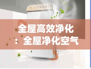 全屋高效凈化：全屋凈化空氣系統(tǒng)品牌哪個好 