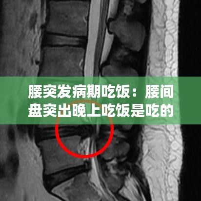 第1248頁