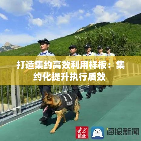 打造集約高效利用樣板：集約化提升執(zhí)行質(zhì)效 