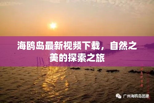 海鷗島最新視頻下載，自然之美的探索之旅