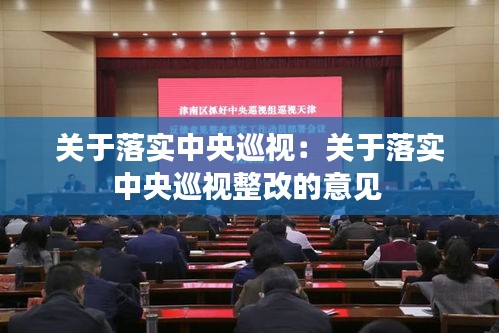 關(guān)于落實中央巡視：關(guān)于落實中央巡視整改的意見 