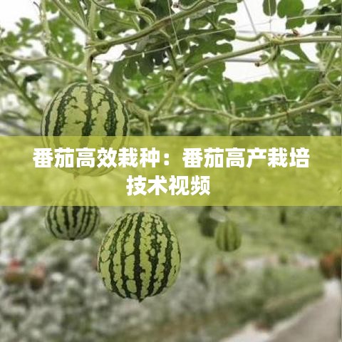 聯(lián)系方式 第213頁