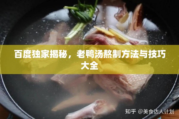 百度獨(dú)家揭秘，老鴨湯熬制方法與技巧大全