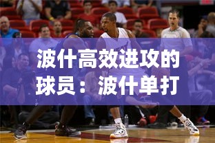 波什高效進攻的球員：波什單打集錦 