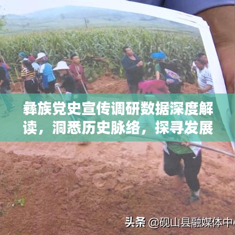彝族黨史宣傳調(diào)研數(shù)據(jù)深度解讀，洞悉歷史脈絡(luò)，探尋發(fā)展軌跡