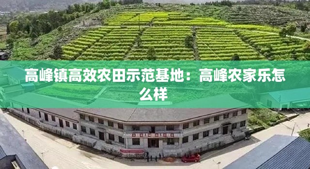 高峰鎮(zhèn)高效農(nóng)田示范基地：高峰農(nóng)家樂怎么樣 