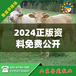 2024正版資料免費公開：豬、牛、馬、狗，四肖期期中