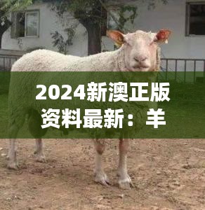 2024新澳正版資料最新：羊、牛、狗、蛇，免費資料