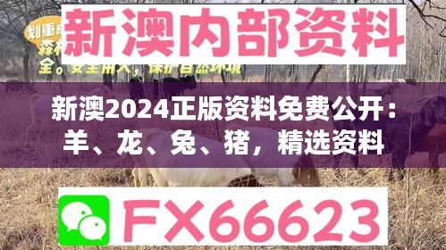 新澳2024正版資料免費(fèi)公開(kāi)：羊、龍、兔、豬，精選資料