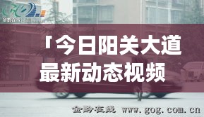 「今日陽關大道最新動態(tài)視頻，交通動脈繁榮發(fā)展震撼呈現(xiàn)」