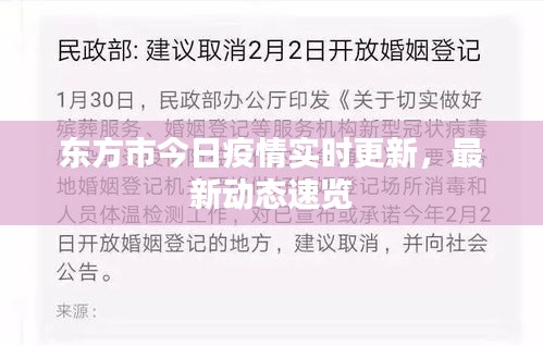 東方市今日疫情實(shí)時(shí)更新，最新動(dòng)態(tài)速覽