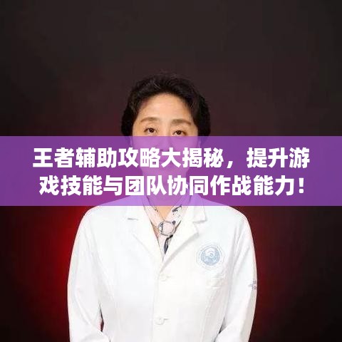 王者輔助攻略大揭秘，提升游戲技能與團隊協(xié)同作戰(zhàn)能力！
