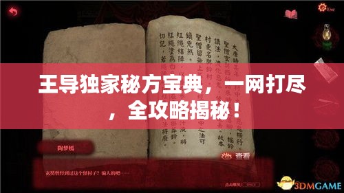王導(dǎo)獨(dú)家秘方寶典，一網(wǎng)打盡，全攻略揭秘！
