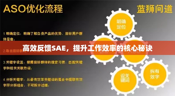 高效反饋SAE，提升工作效率的核心秘訣