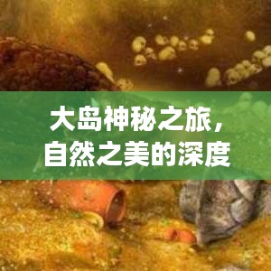 大島神秘之旅，自然之美的深度探索攻略視頻