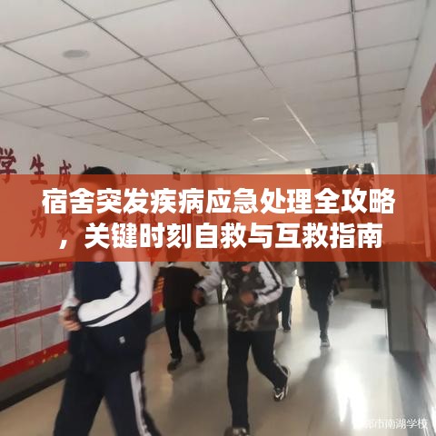 宿舍突發(fā)疾病應(yīng)急處理全攻略，關(guān)鍵時刻自救與互救指南