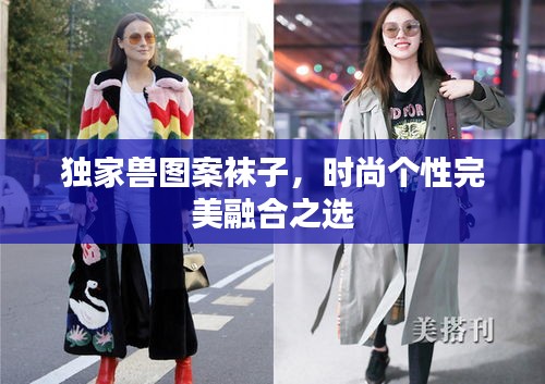 獨(dú)家獸圖案襪子，時(shí)尚個(gè)性完美融合之選