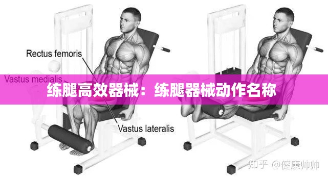 練腿高效器械：練腿器械動(dòng)作名稱 