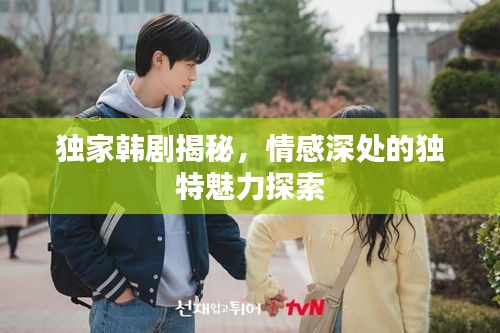 獨(dú)家韓劇揭秘，情感深處的獨(dú)特魅力探索