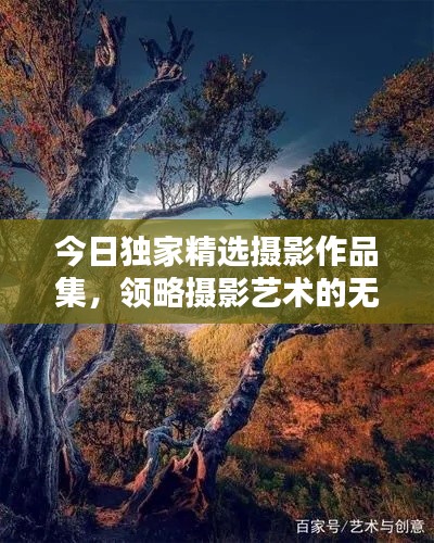 今日獨家精選攝影作品集，領略攝影藝術的無窮魅力