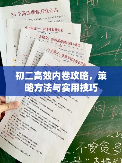 初二高效內(nèi)卷攻略，策略方法與實(shí)用技巧