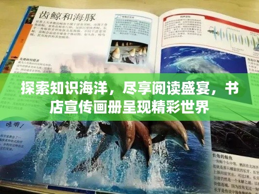 探索知識海洋，盡享閱讀盛宴，書店宣傳畫冊呈現(xiàn)精彩世界