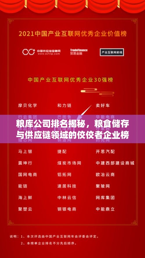 糧庫公司排名揭秘，糧食儲(chǔ)存與供應(yīng)鏈領(lǐng)域的佼佼者企業(yè)榜單揭曉！