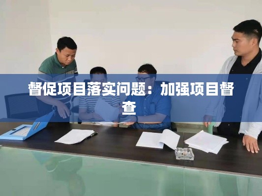 督促項目落實問題：加強項目督查 