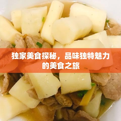 獨(dú)家美食探秘，品味獨(dú)特魅力的美食之旅